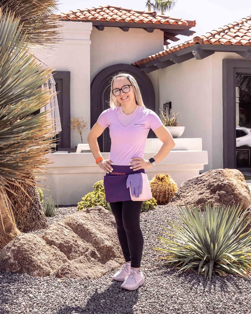 Home Solutions by Libny _Residential House Cleaning of Scottsdale, photo 2