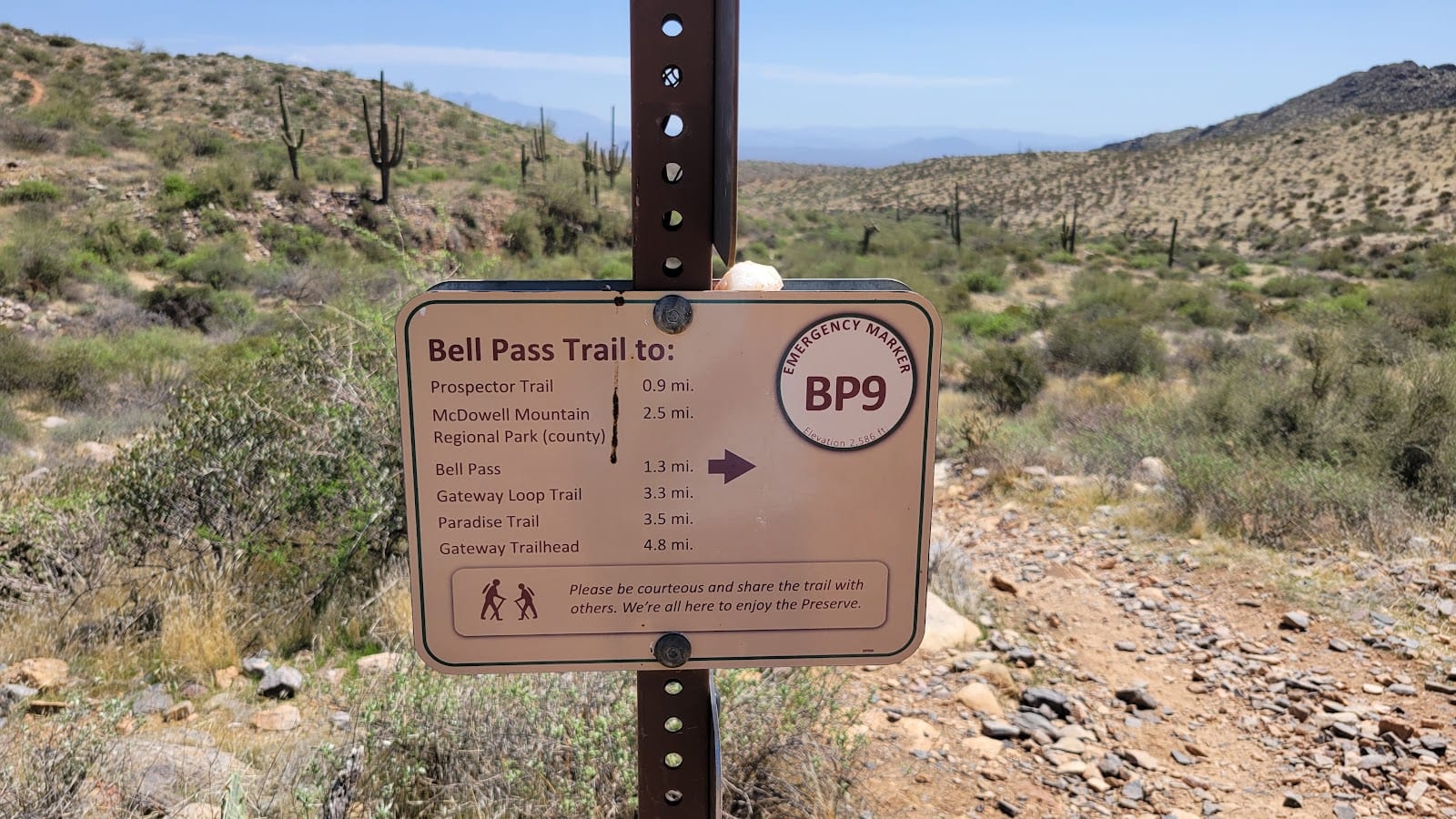 Junction of Windmill trail, Bell Pass trail and Windgate Pass trail