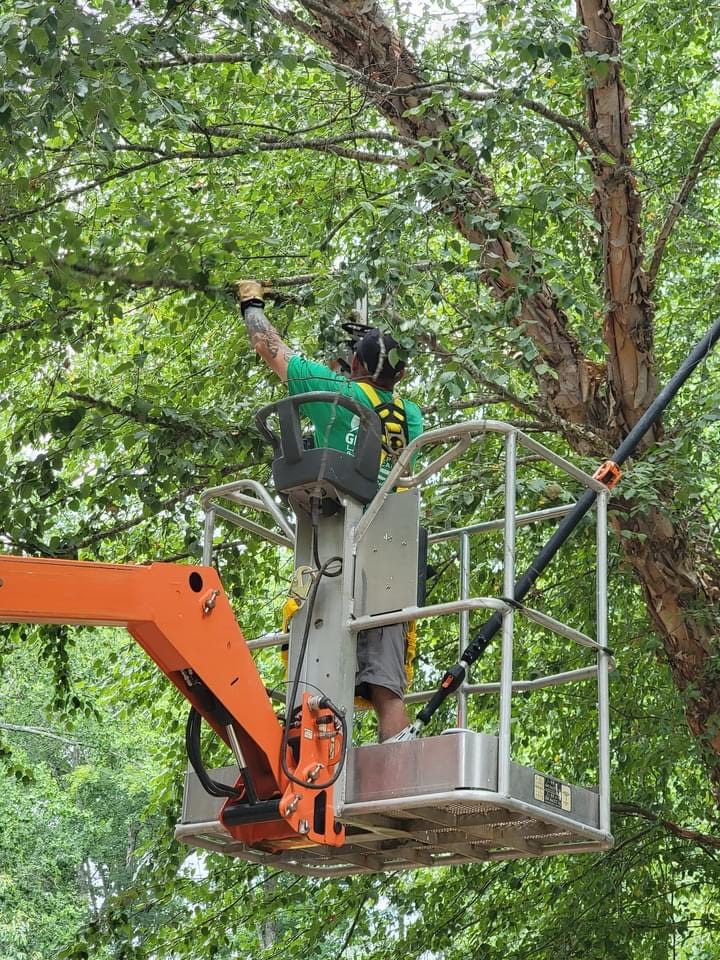 Grants Landscaping, photo 4