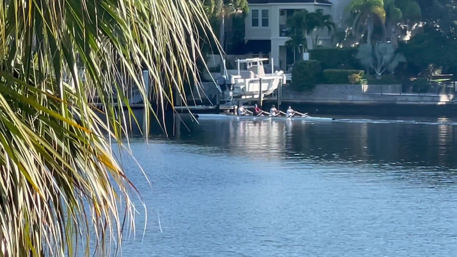Davis Islands Park, photo 2