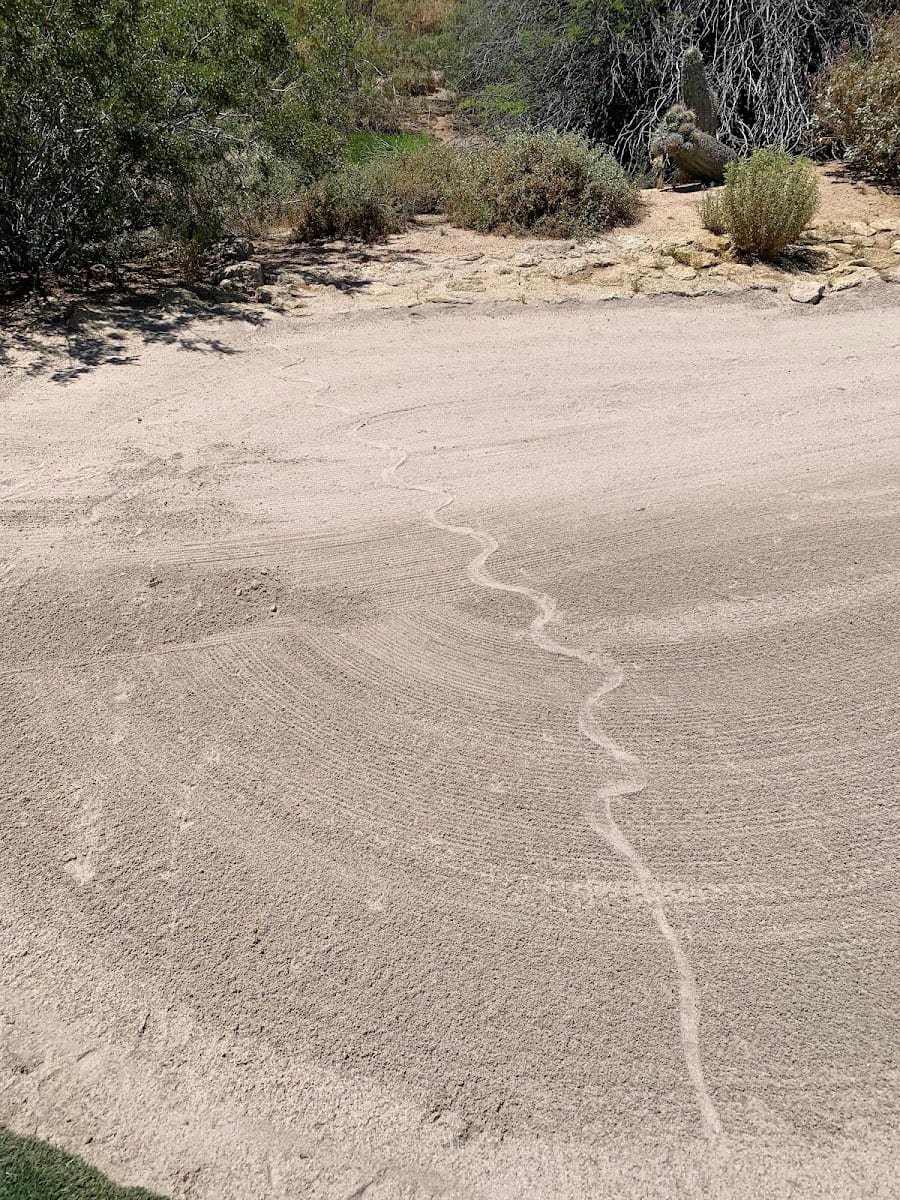 Grayhawk Community, Talon Fairways Park, photo 2