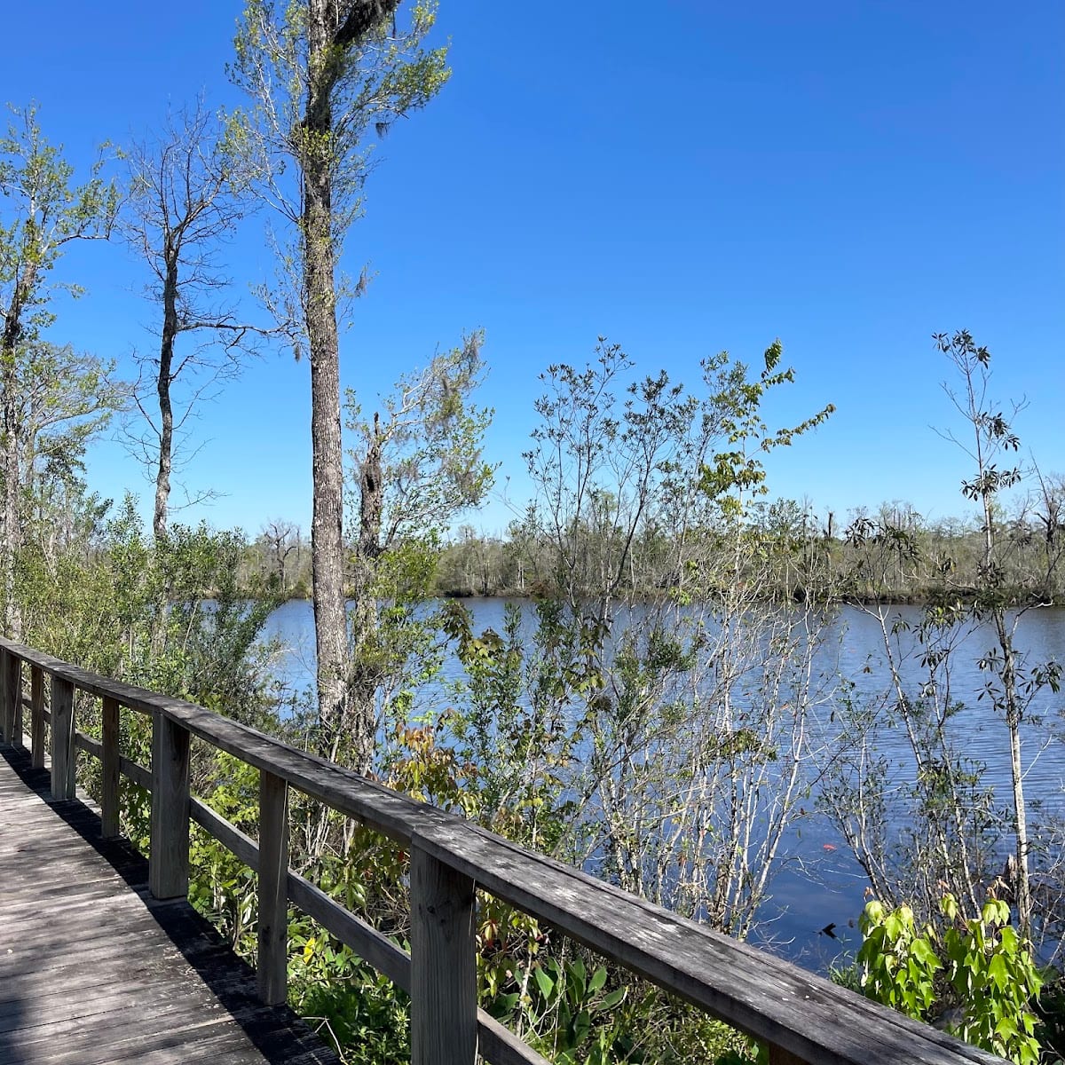 William Brooks Park