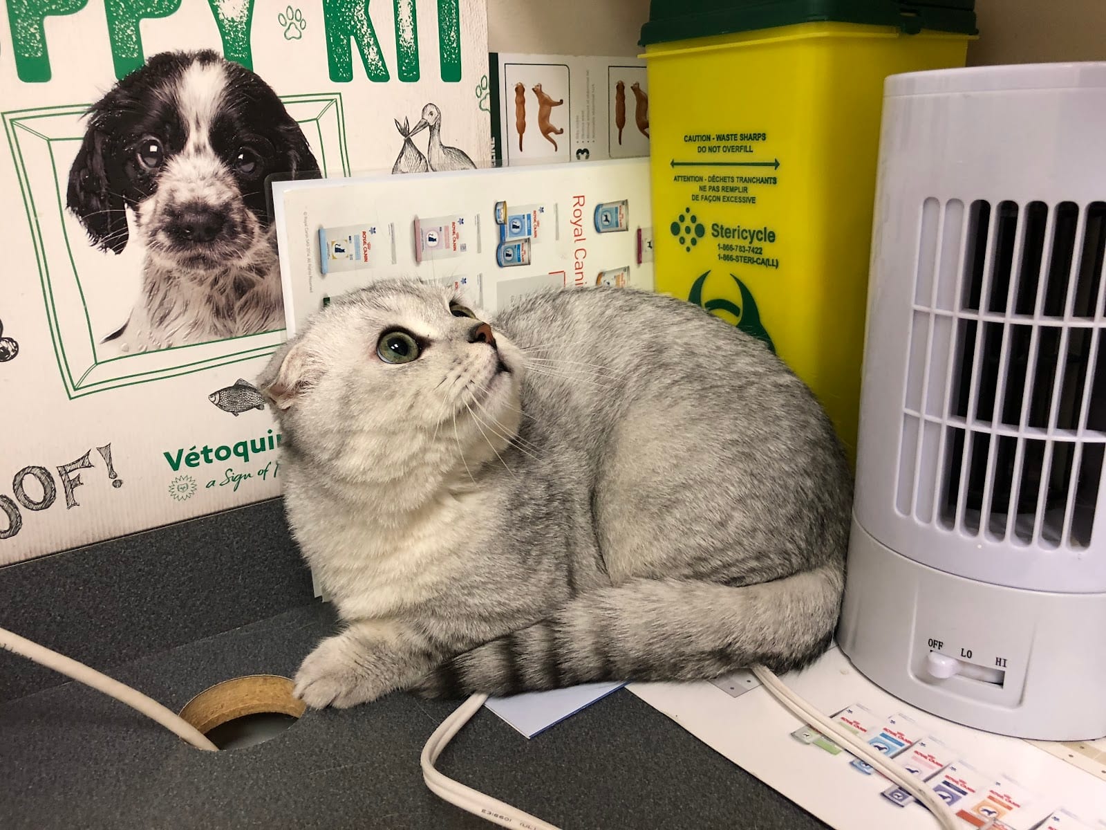 Bayview Hill Animal Hospital, photo 3
