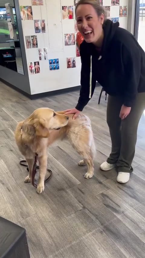 ANIMAL CHIROPRACTIC SCOTTSDALE, photo 4