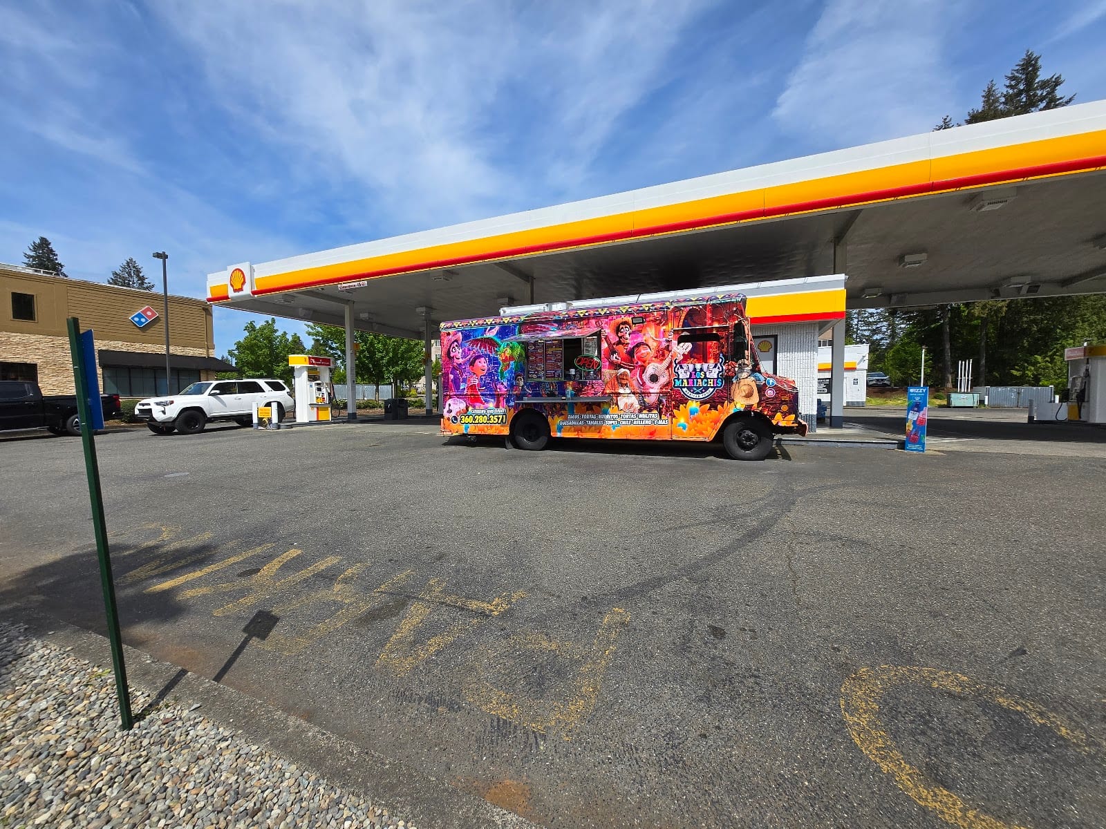 Shell, photo 3