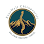 EverWell Chiropractic
