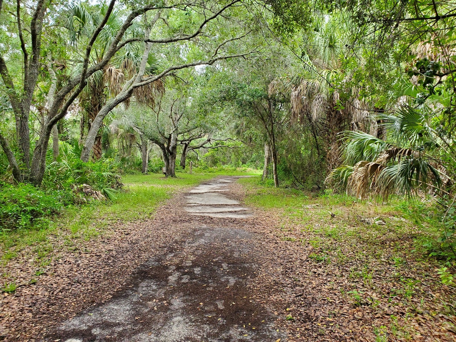 Pinebrook Park, photo 3