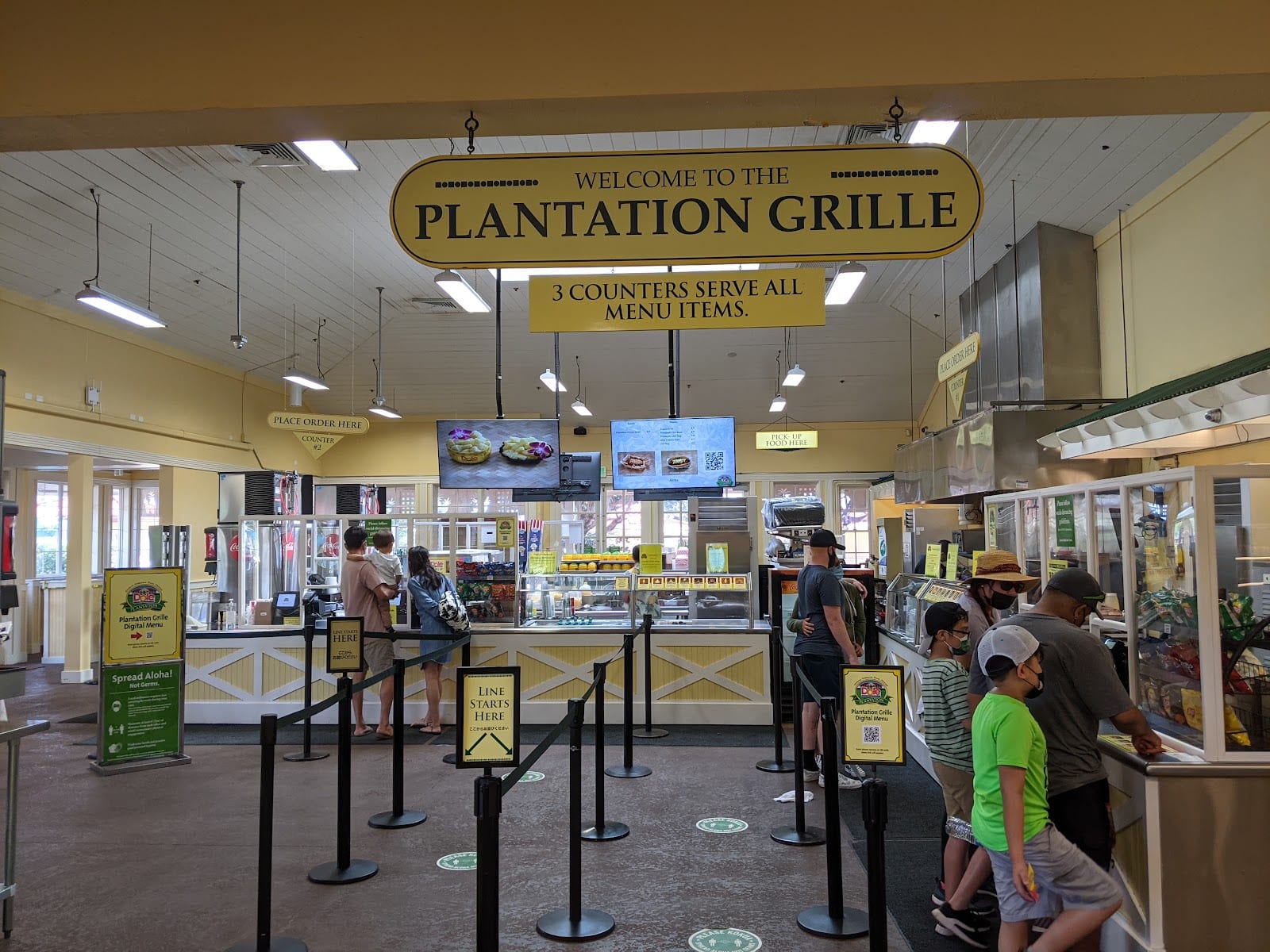 Plantation grille
