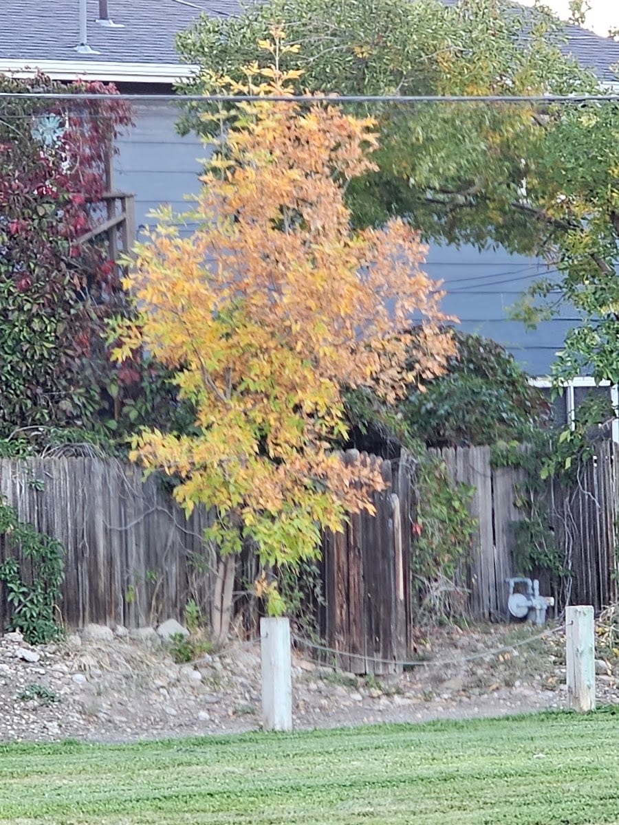 Fairdale Park, photo 3
