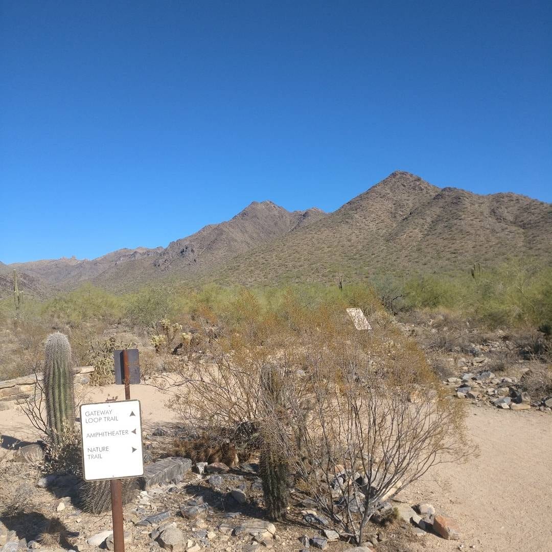 Gateway Trailhead - McDowell Sonoran Preserve, photo 3