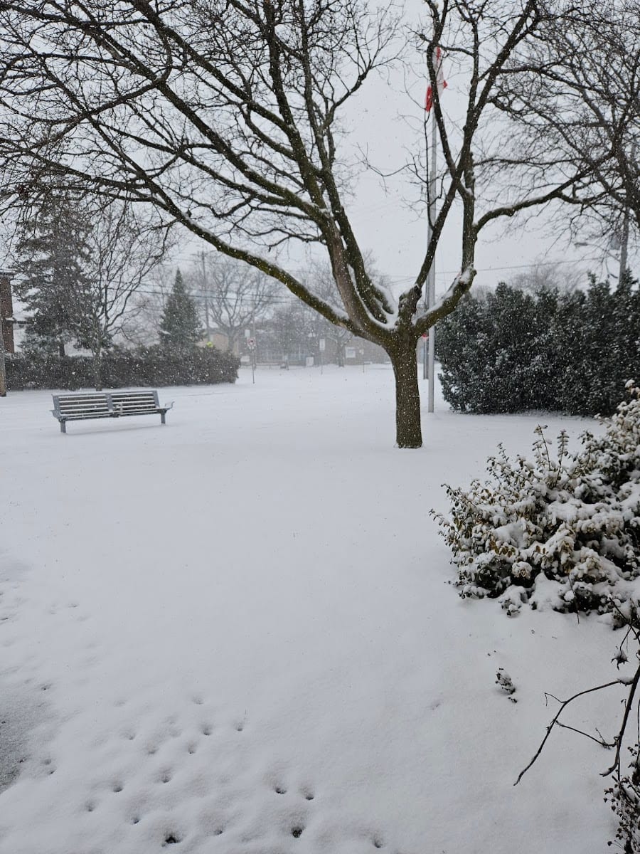 Ancaster Park, photo 3