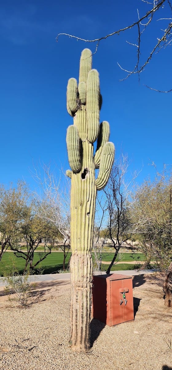Scottsdale Nature Area
