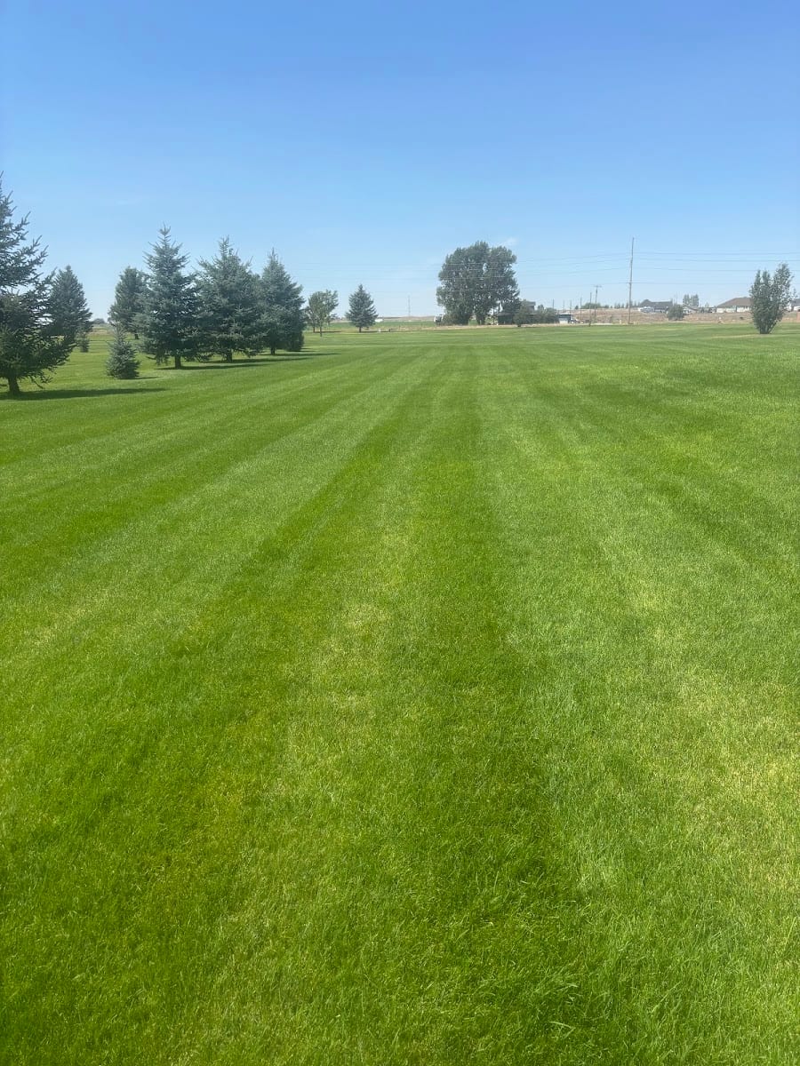 Green Gro Hydroseeding