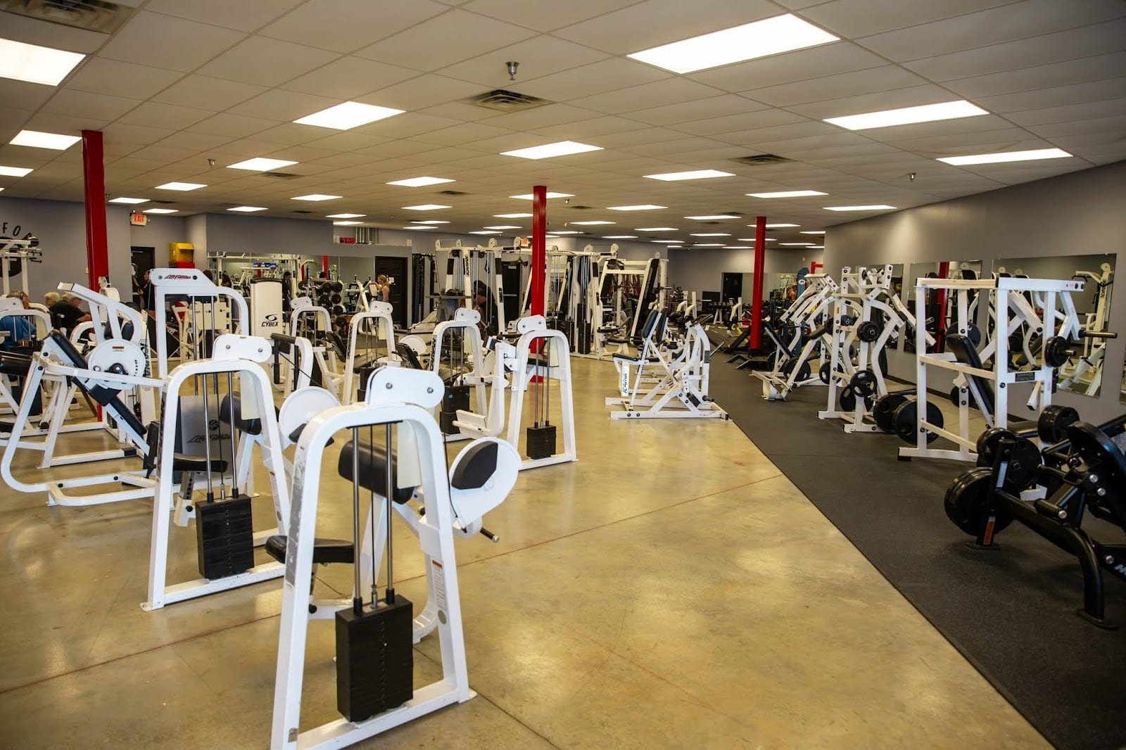 Southern Fitness