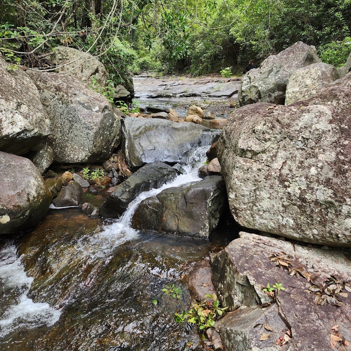 Spencer Gap Waterhole
