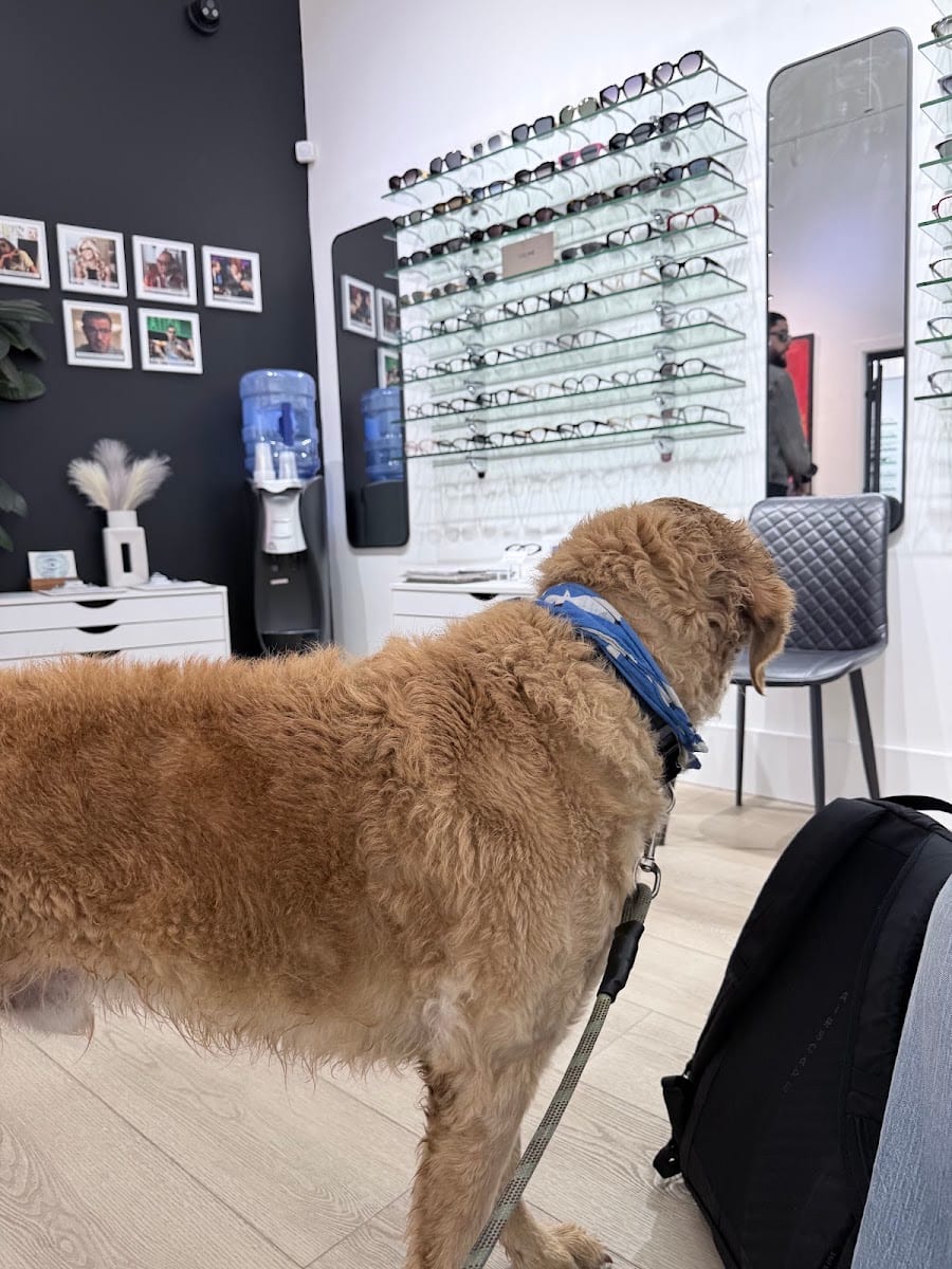 Eye Exam SF - Martha Klufas O.D.