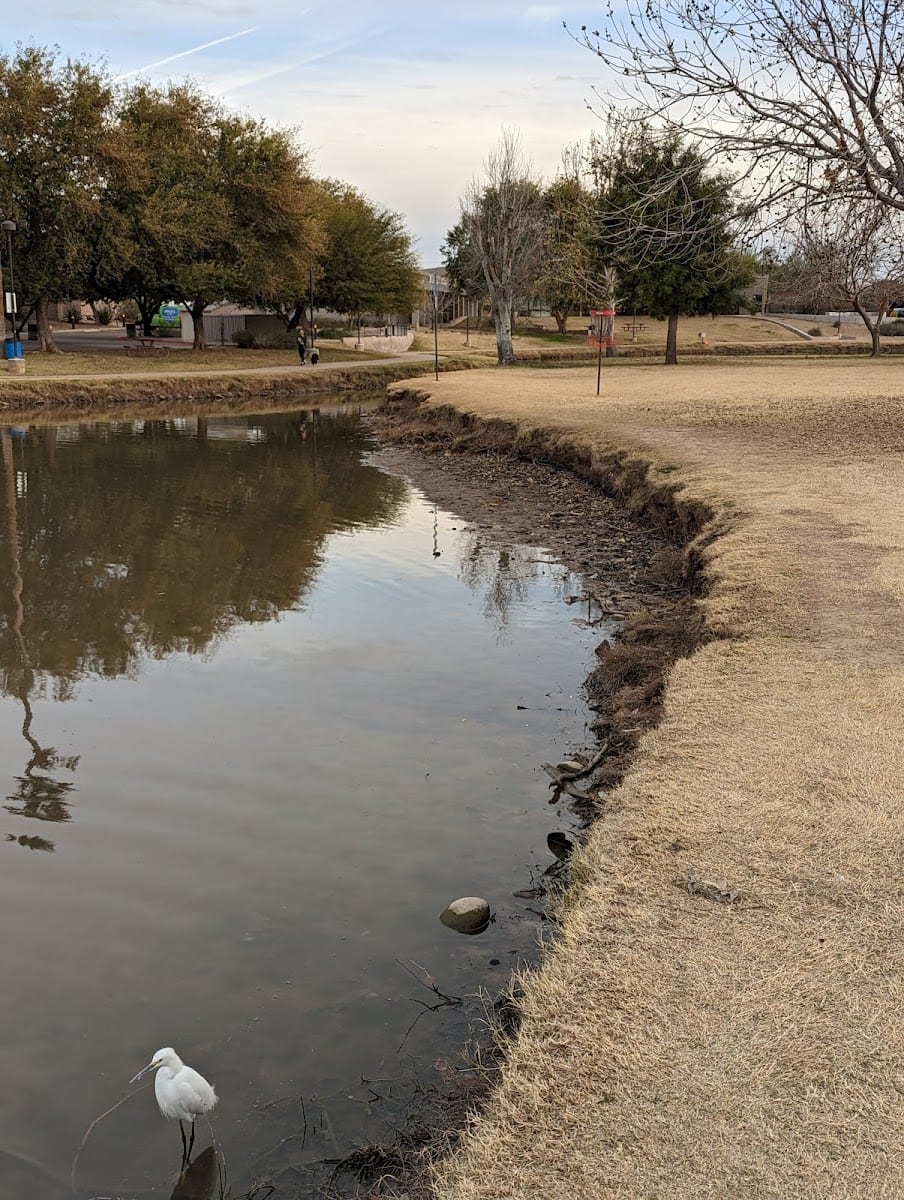 Vista Del Camino Park, photo 3