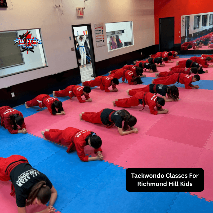 All Star Martial Arts World Richmond Hill