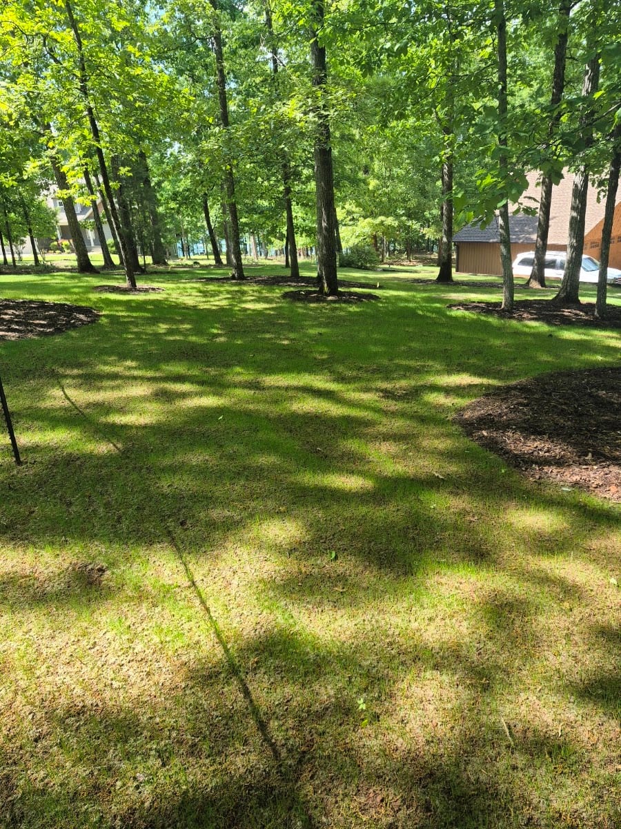 Carolina Grade Hydroseeding And Site works, photo 4