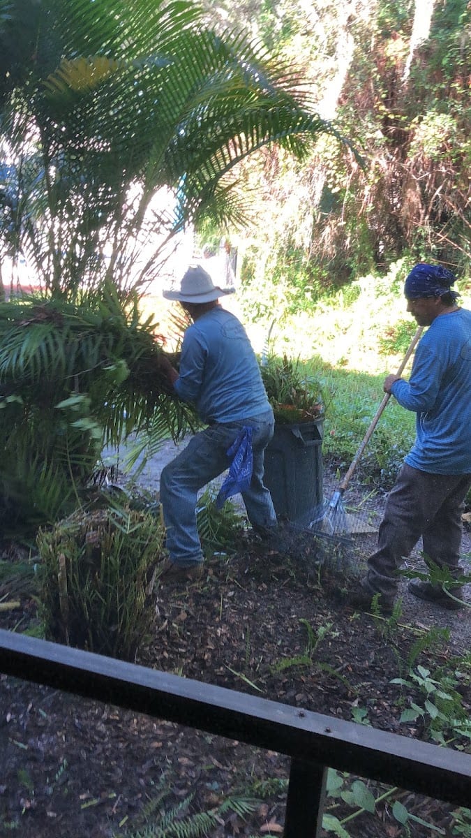 Golden Leaf Landscaping Services, photo 3