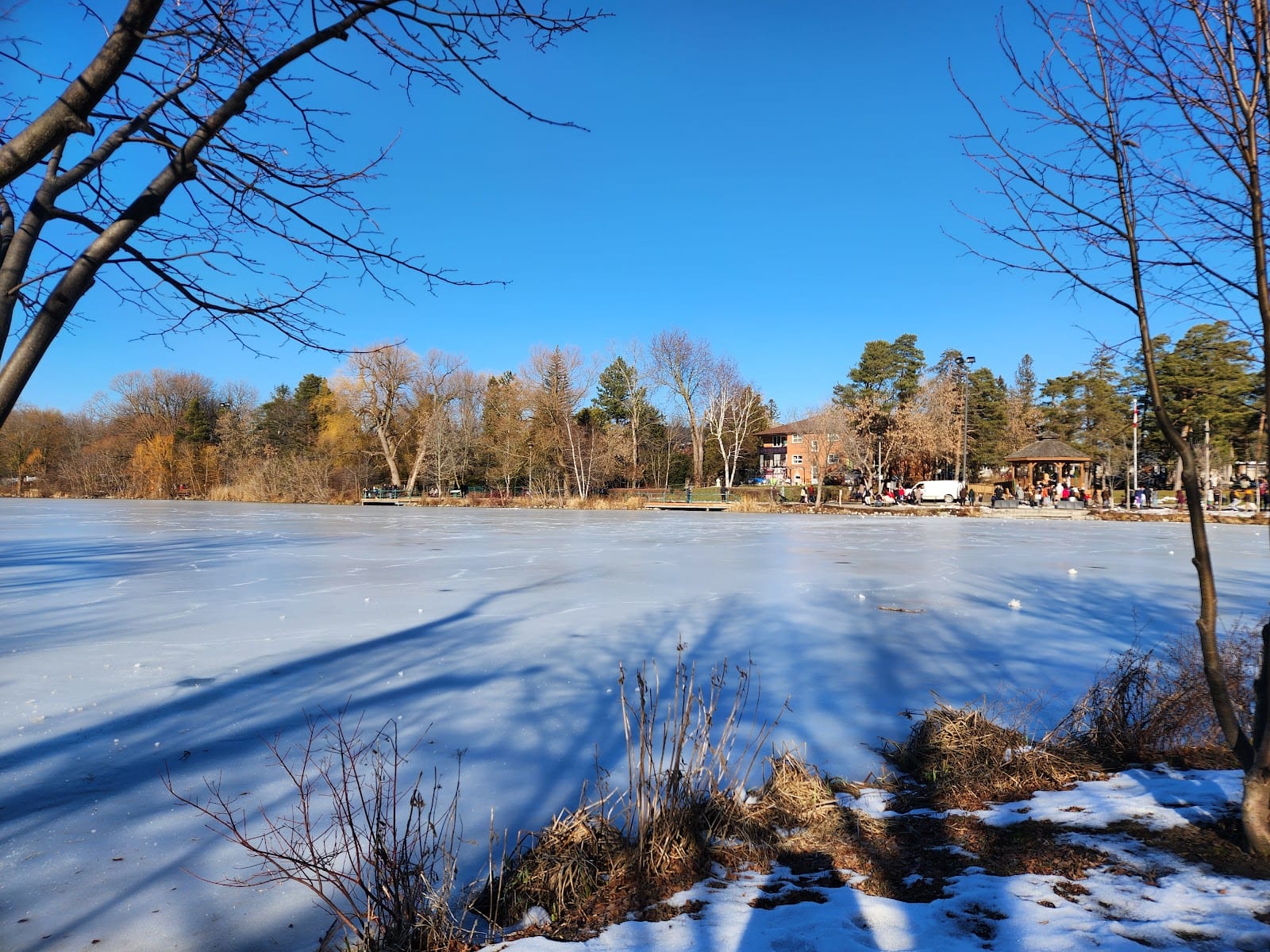 Mill Pond Park, photo 3