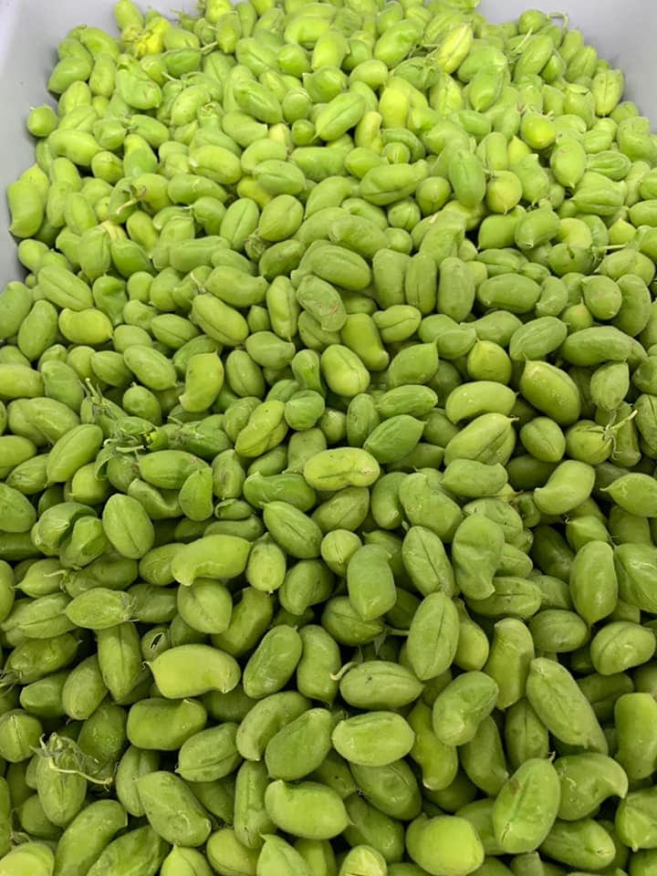 New Indian Grocery, photo 3