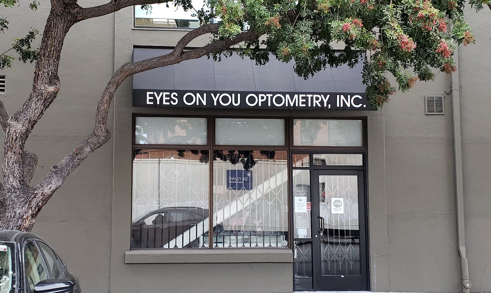 Eyes On You Optometry, photo 3