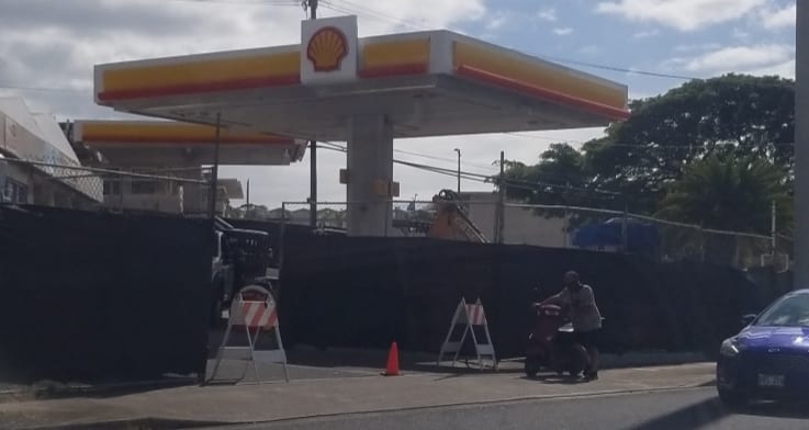 Shell, photo 4