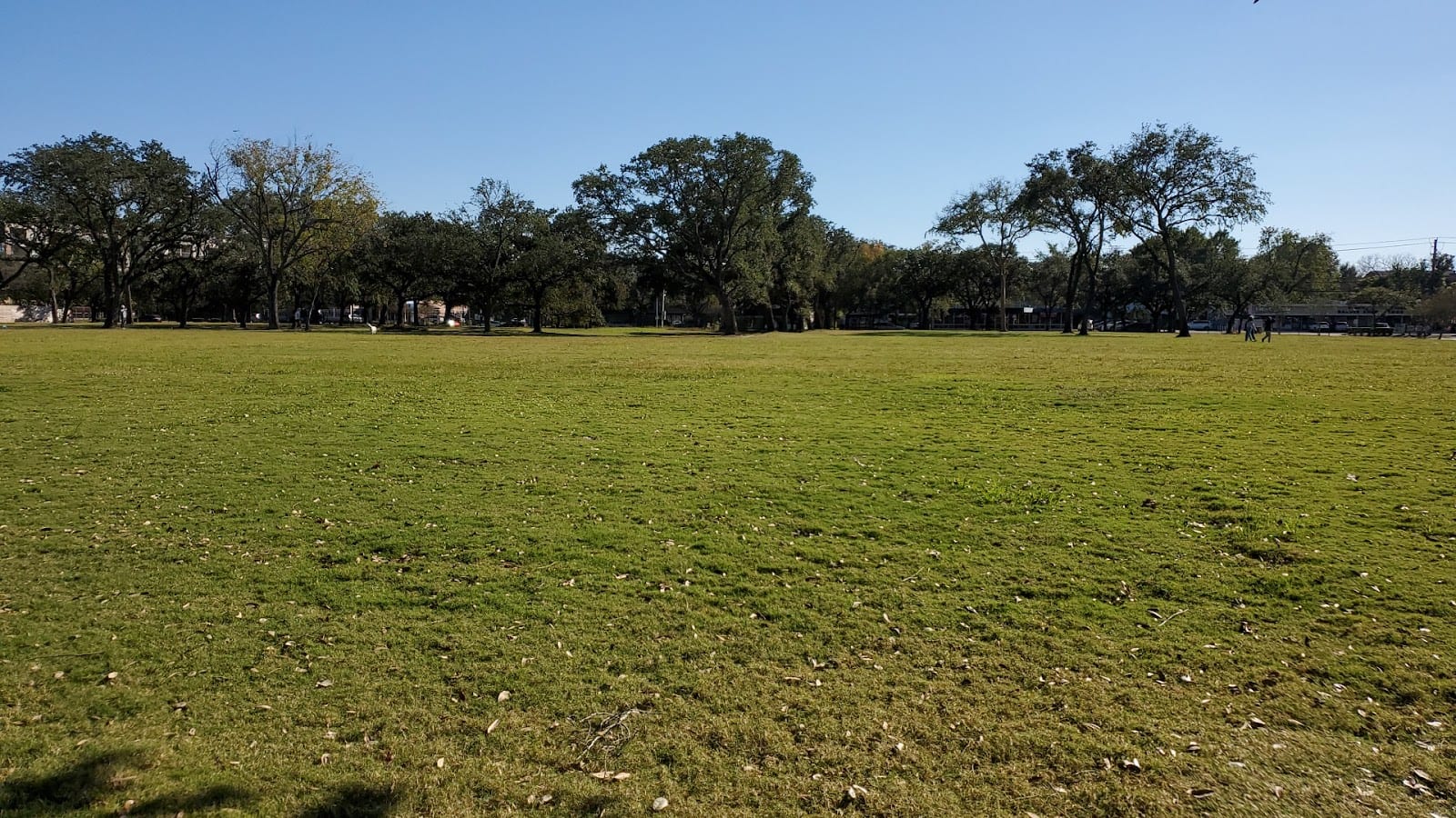 Menil Green Space