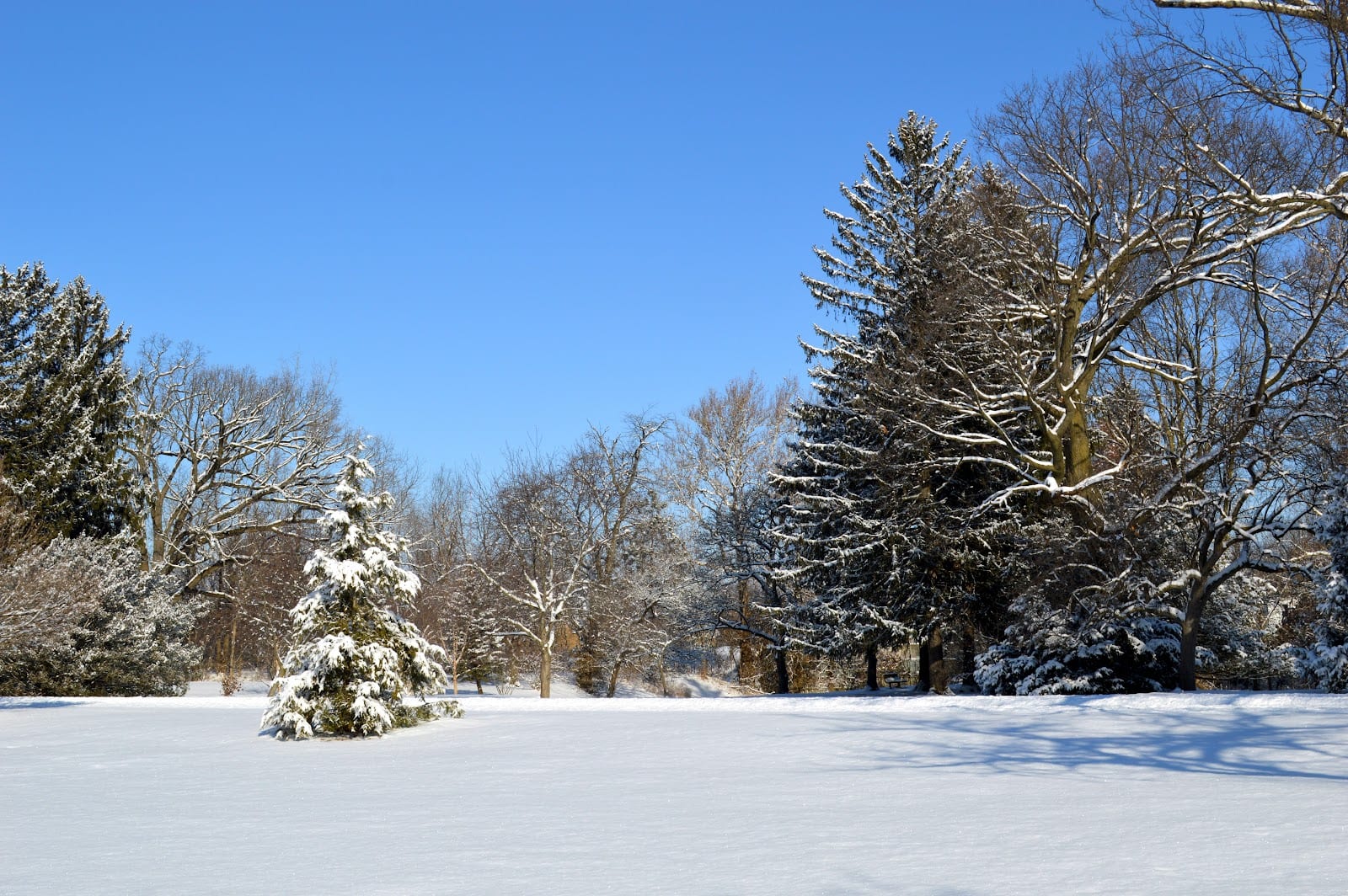 Swinney Park, photo 2