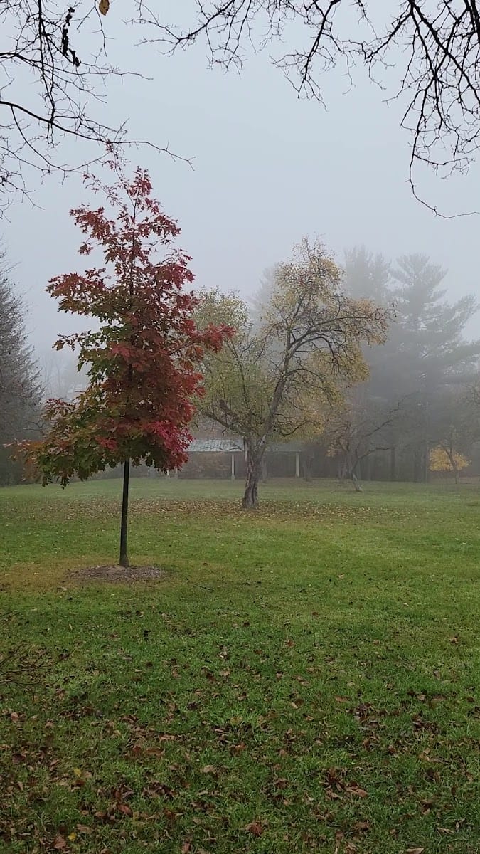Upper Mill Pond Park, photo 2