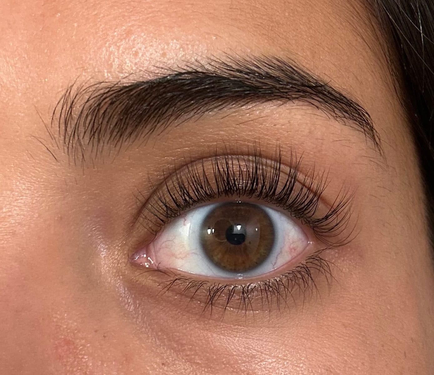 Lila Glam Lashes