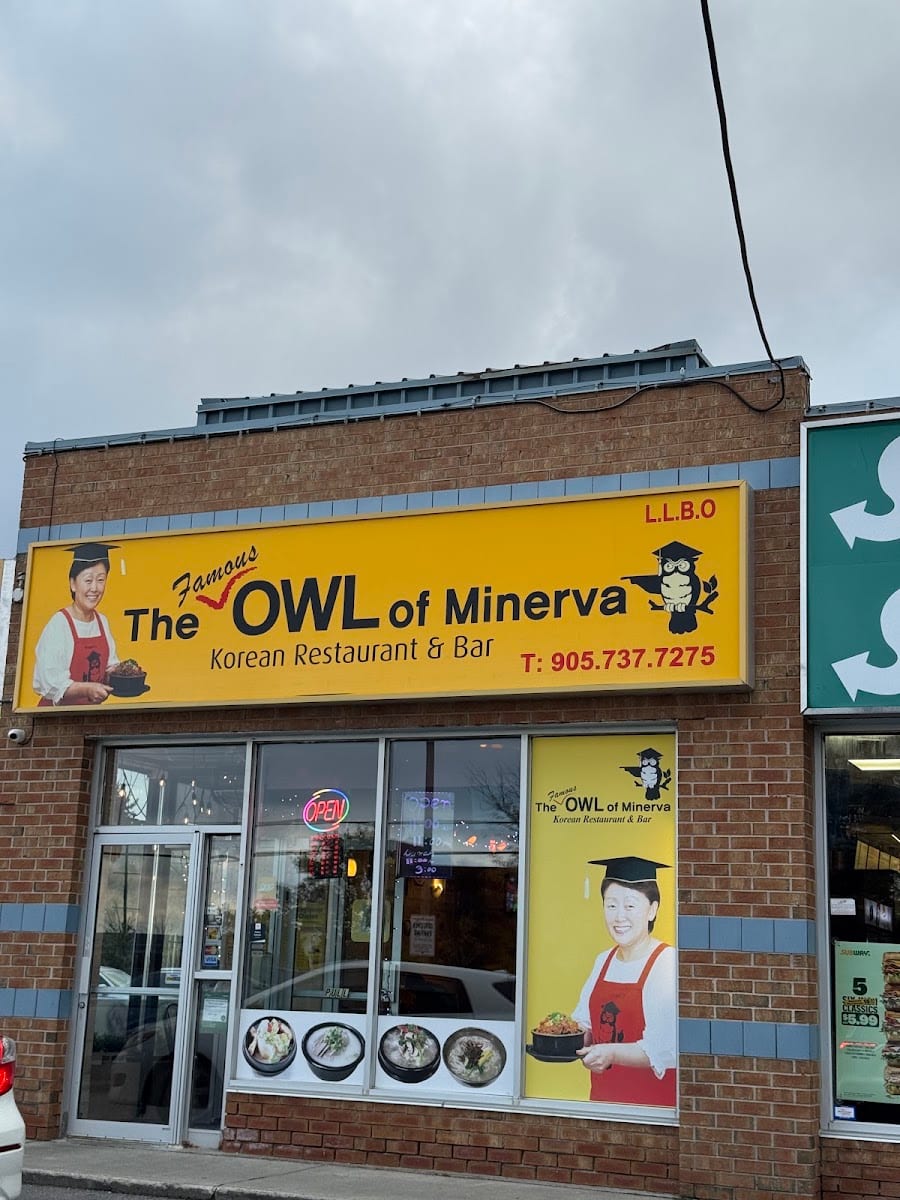 The Owl of Minerva
