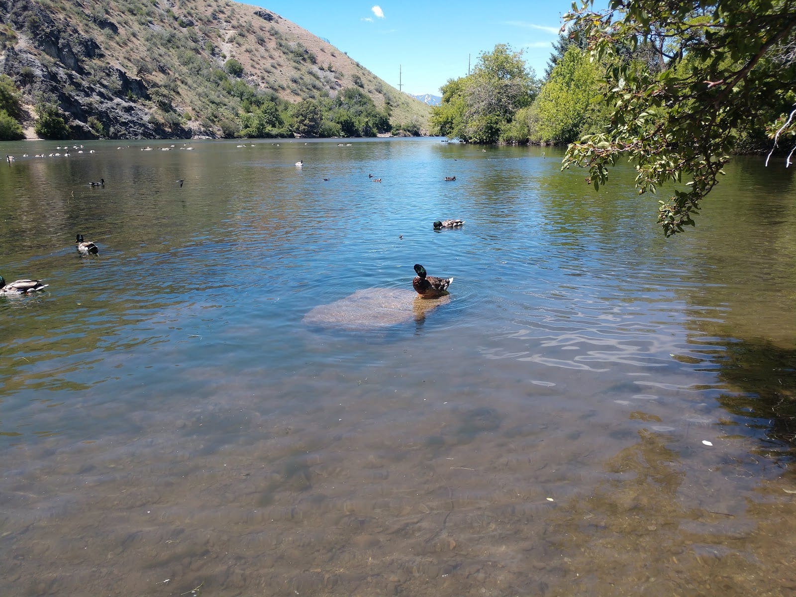 River Hollow Park, photo 3