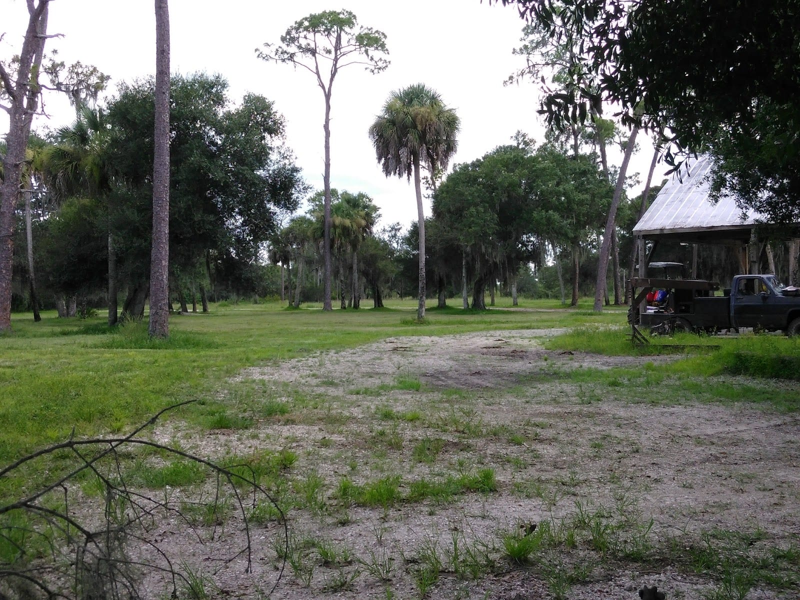 Turtle Hawk Farm, photo 3