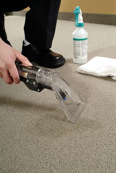 ServiceMaster Clean of Edmonton, photo 3