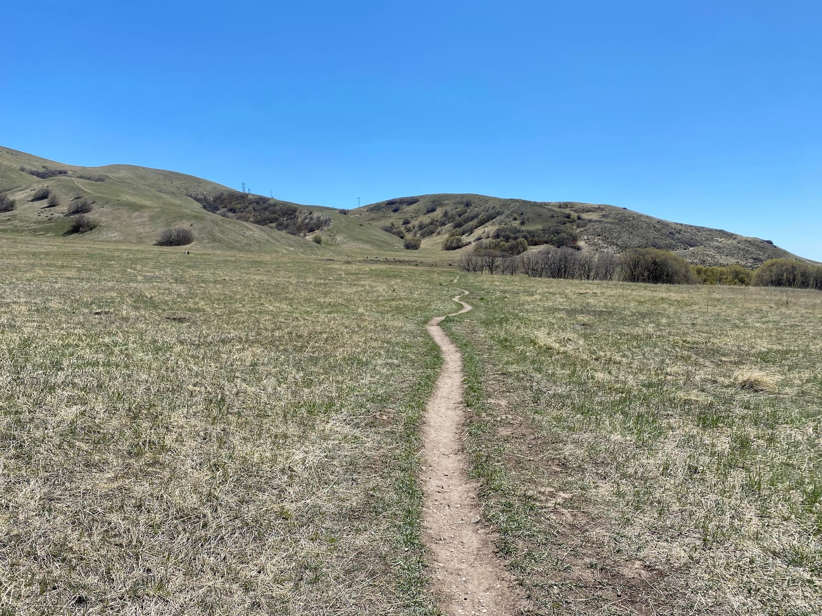 Bonneville Shoreline Preserve