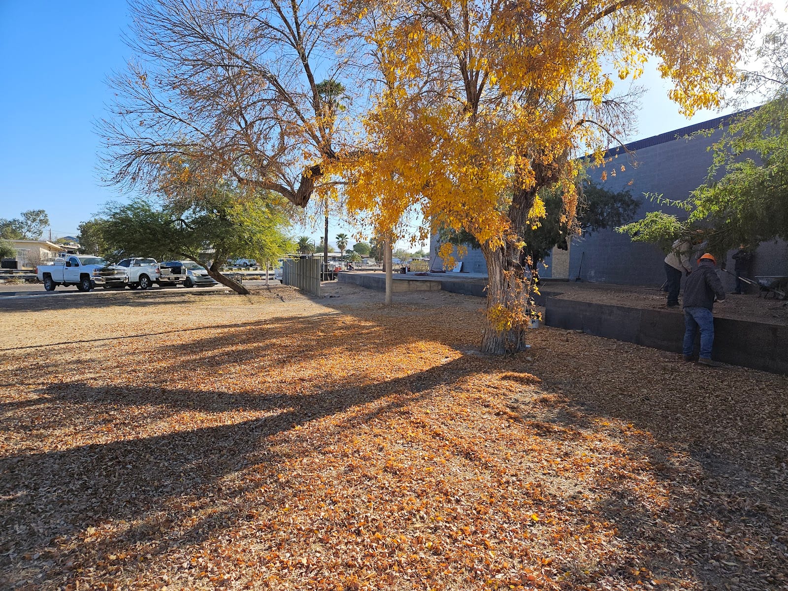 Pueblo Gardens Park, photo 2