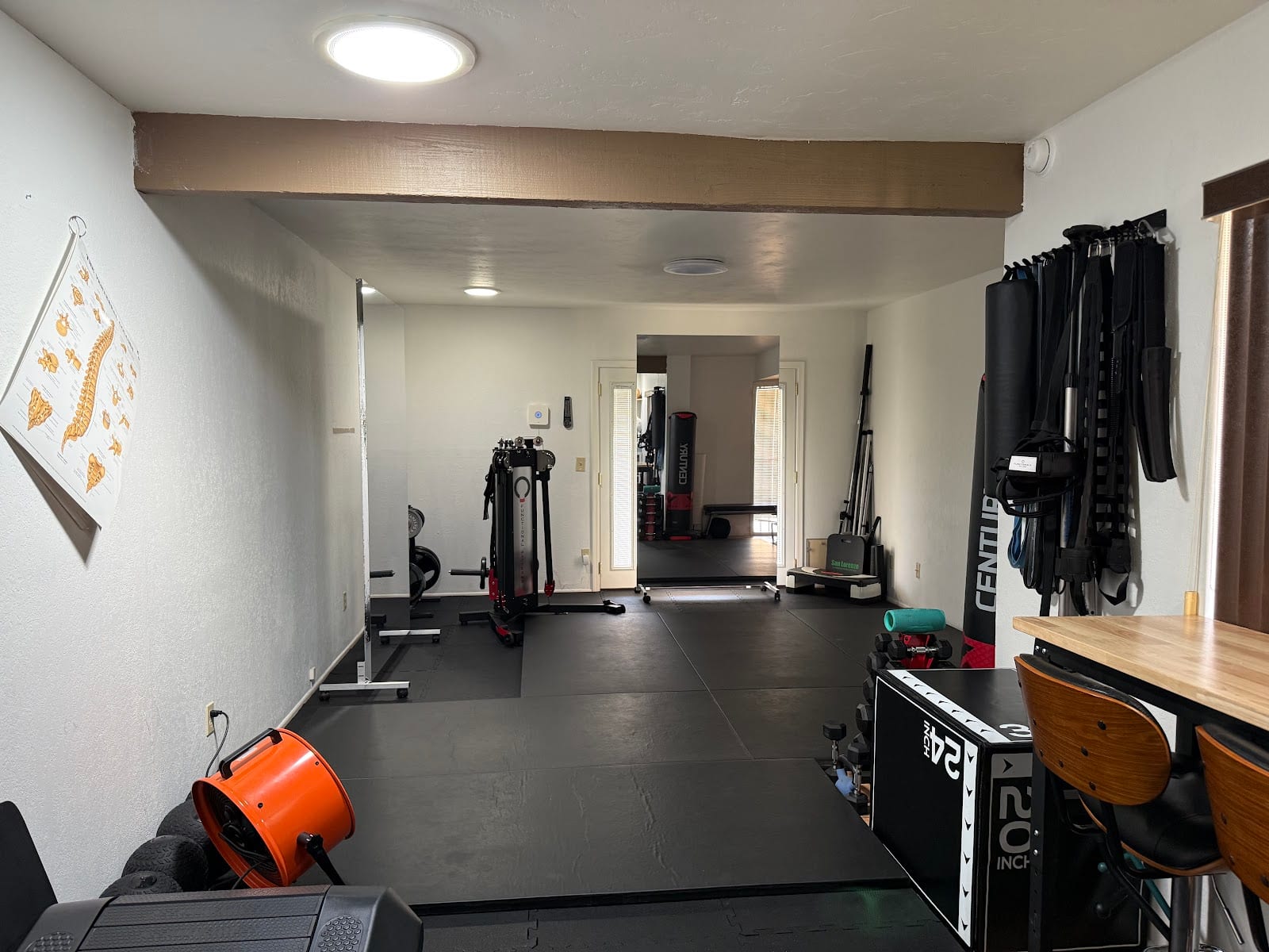 Tucson Biomechanics