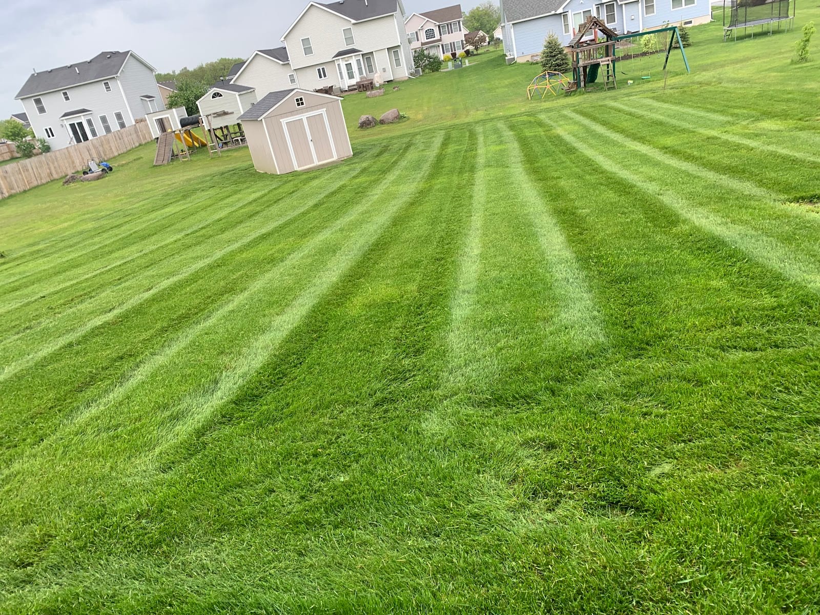 DeMeyer Lawn and Landscape, photo 2