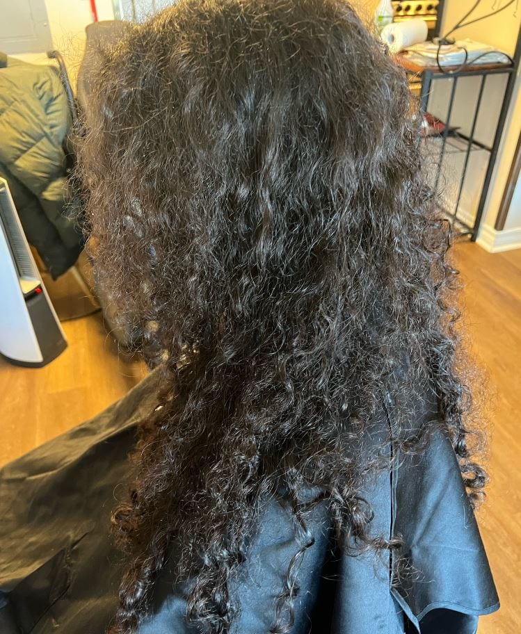 Mobile Hair Salon, photo 4