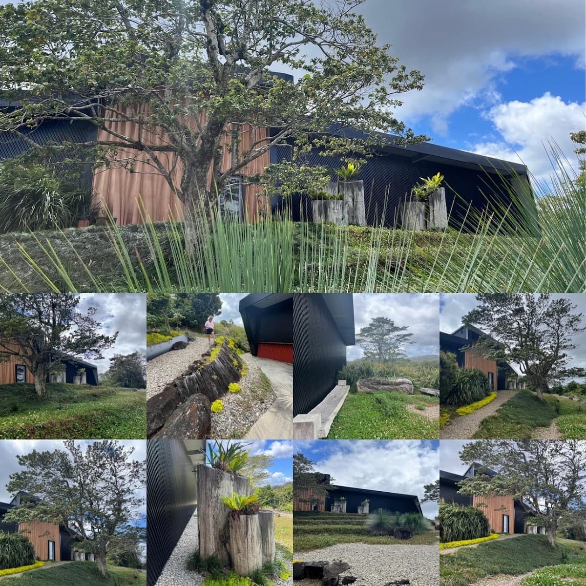 Cedar Gallery