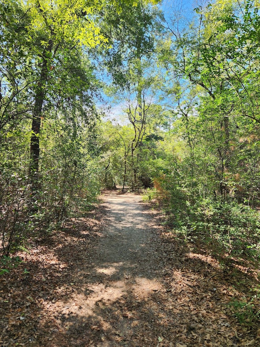 Memorial Park Picnic Area 1
