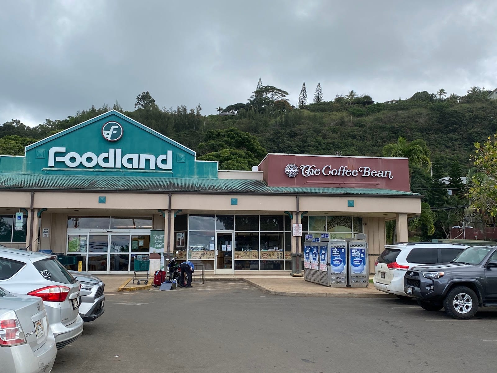 The Coffee Bean & Tea Leaf Pupukea, photo 2