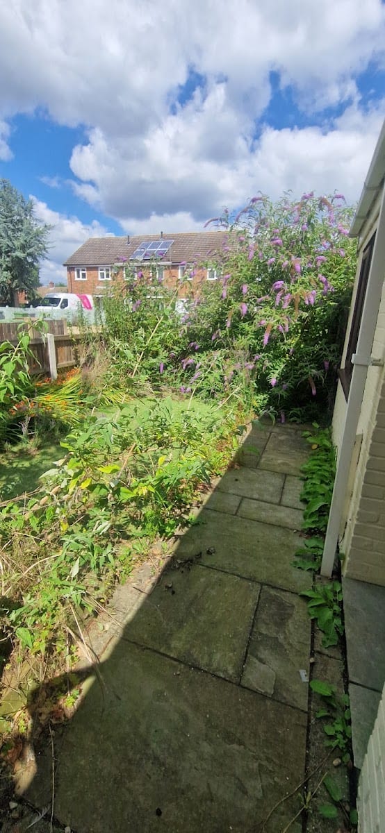 Gardening For You, photo 3