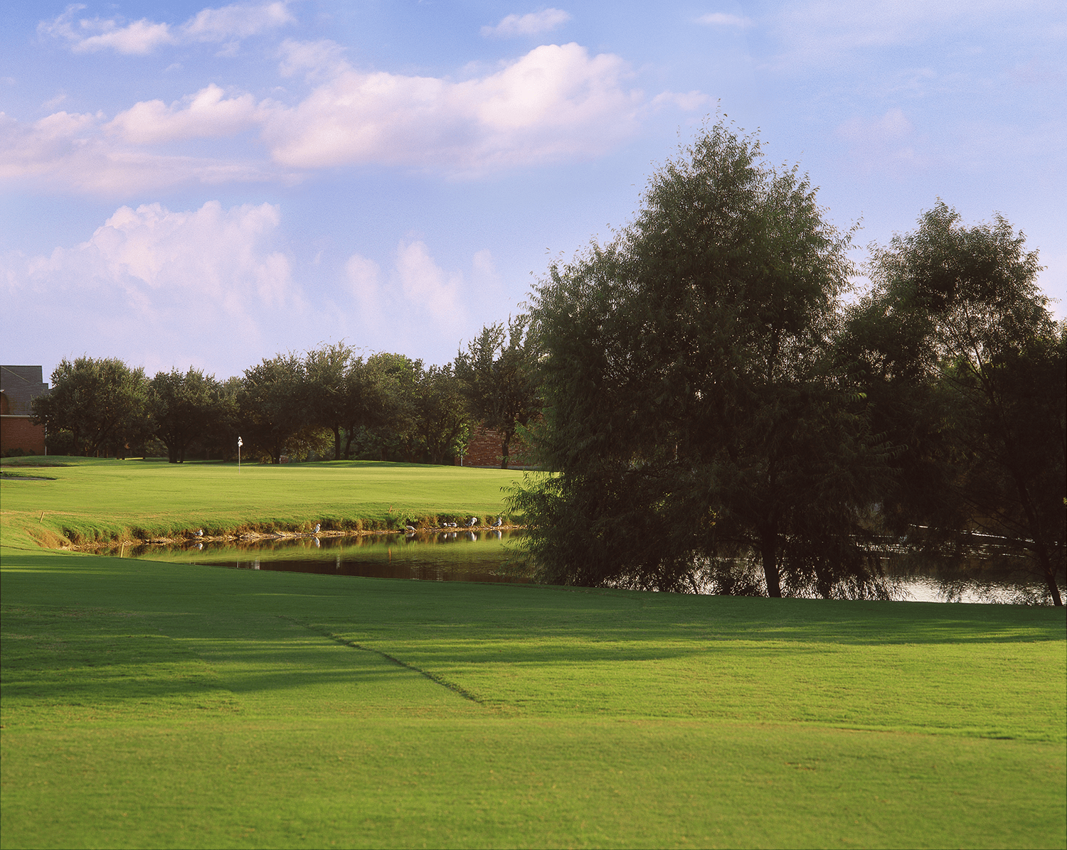 The Club at Frisco Farms, photo 2