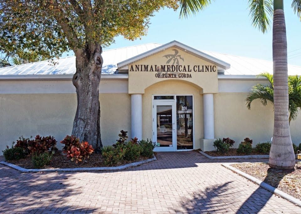 Dr. Ally's Animal Clinic of Punta Gorda (Animal Medical Clinic of Punta Gorda)