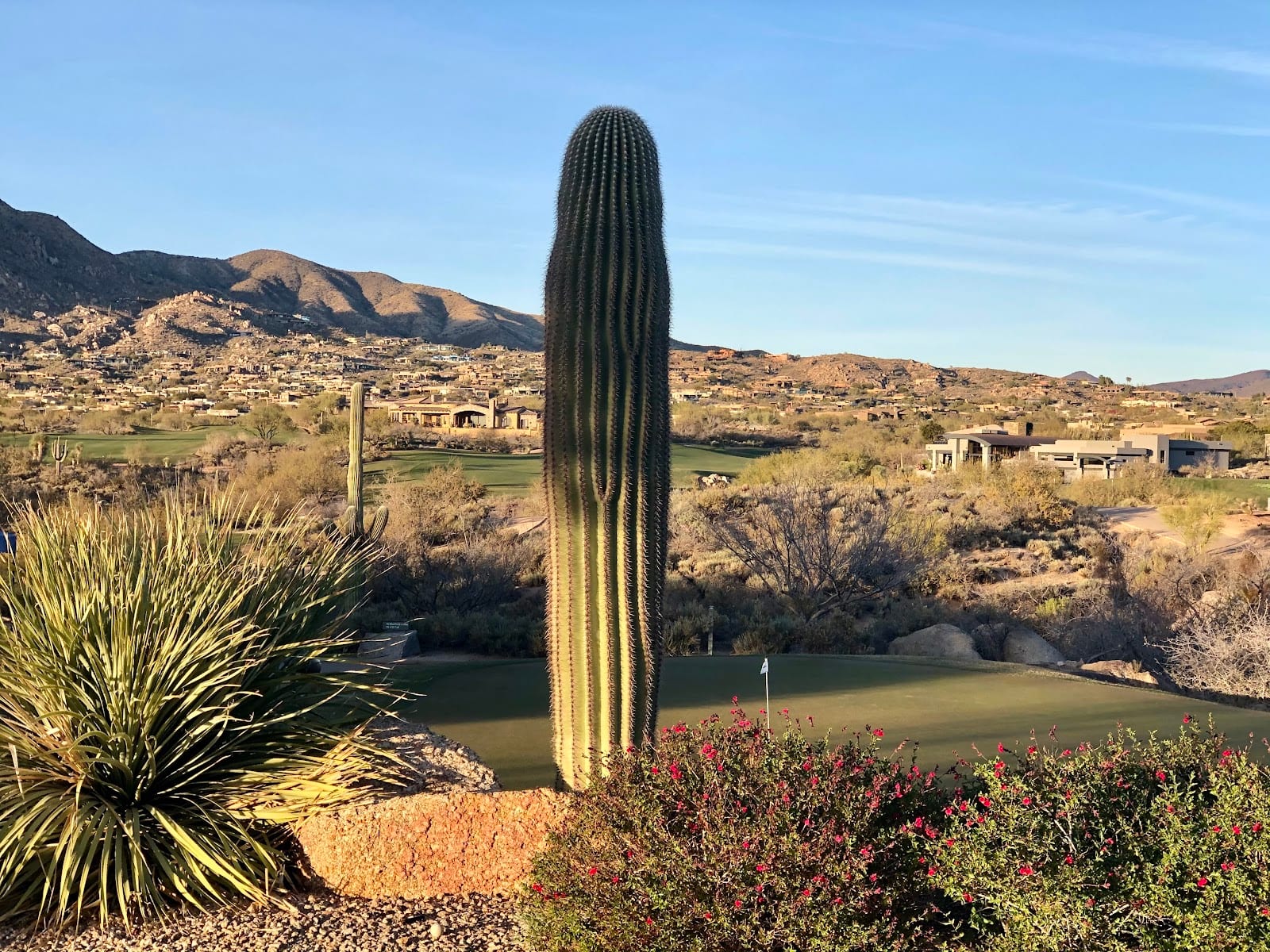 The Silverleaf Club logo, photo 3