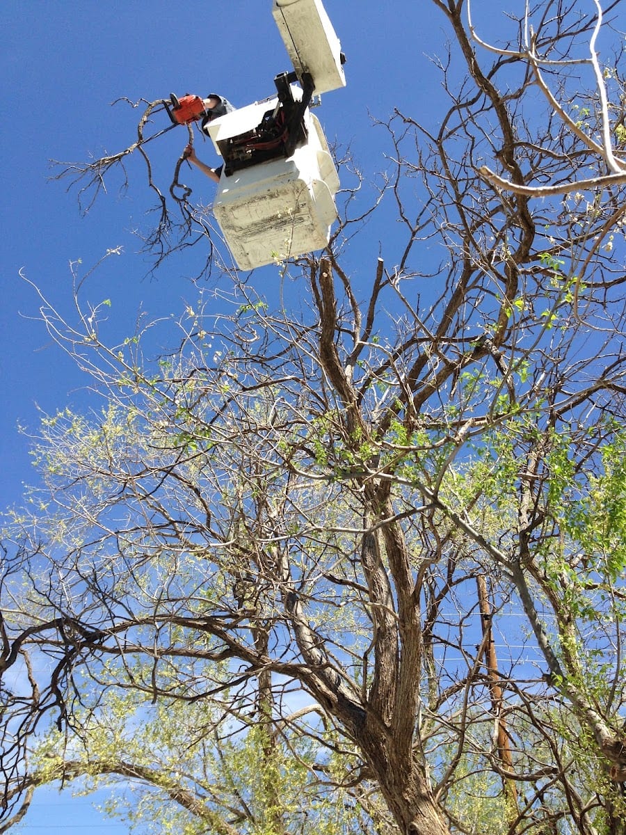 Tomcat's Tree Service LLC, photo 4