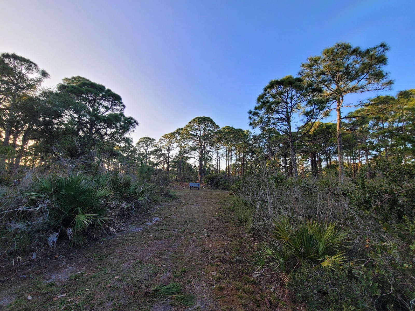 Dr. Willard "Bill" Coy Preserve on Buck Creek